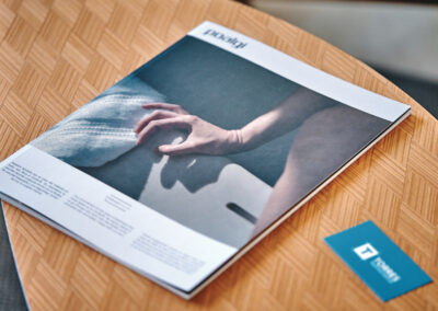 Revistas